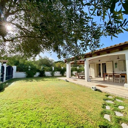 הוילה קסטיאדס La Casa Dell Olivo מראה חיצוני תמונה