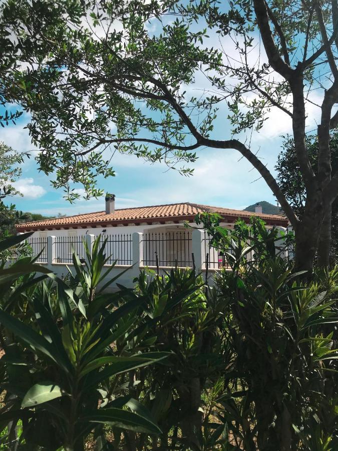 הוילה קסטיאדס La Casa Dell Olivo מראה חיצוני תמונה